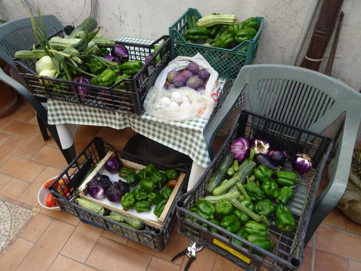 הוילה Contigliano La Bottega Del Fabbro Affitto Breve מראה חיצוני תמונה